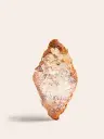 CROISSANT ALMENDRA